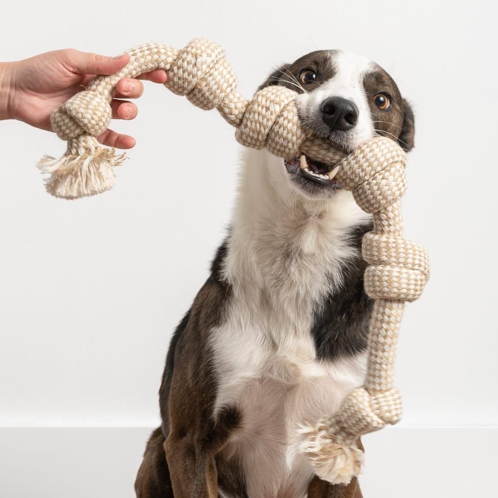 Dog Ropes