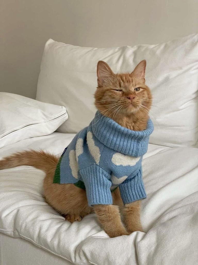 Pets Sweater