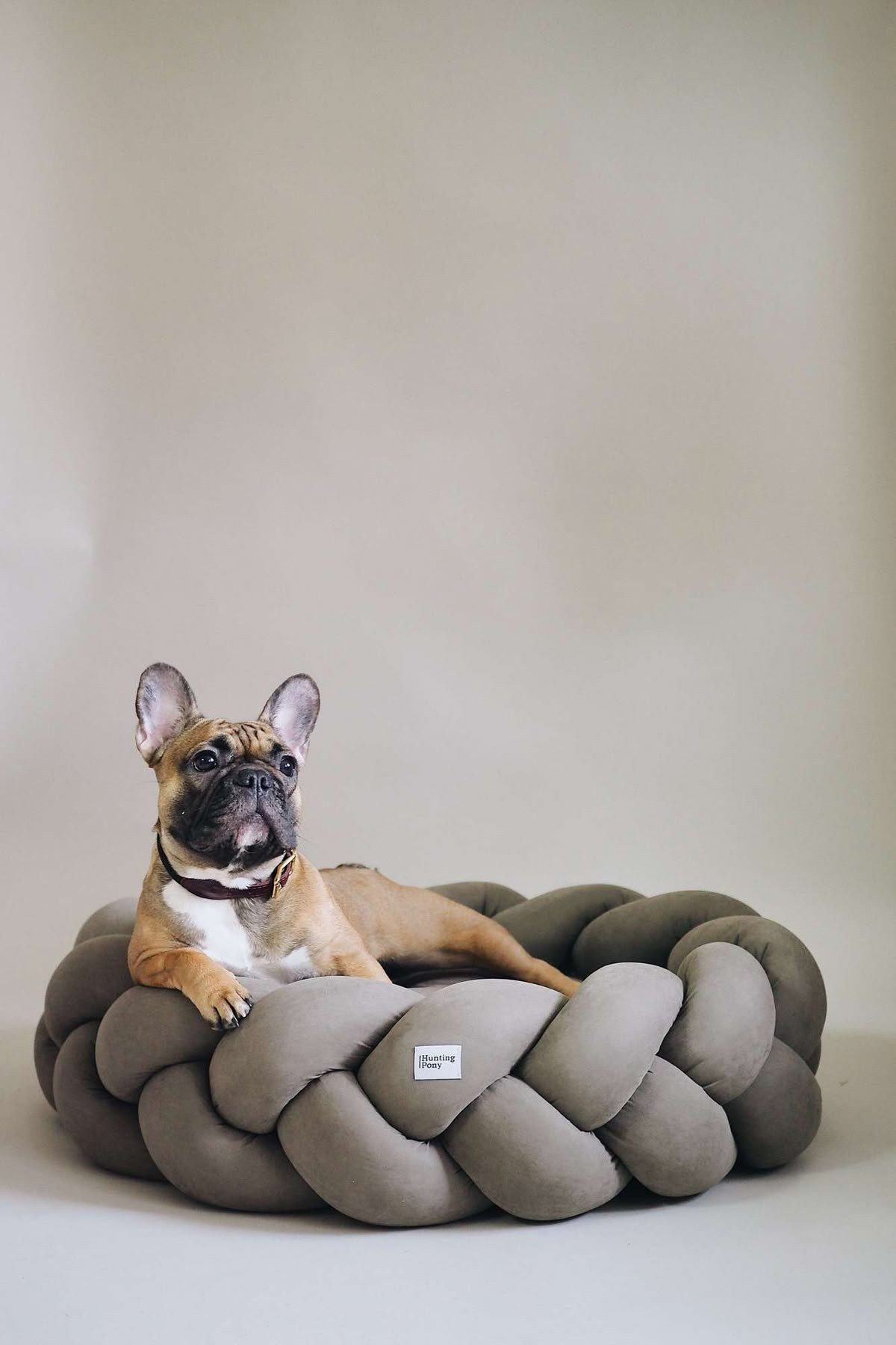 Pet Beds