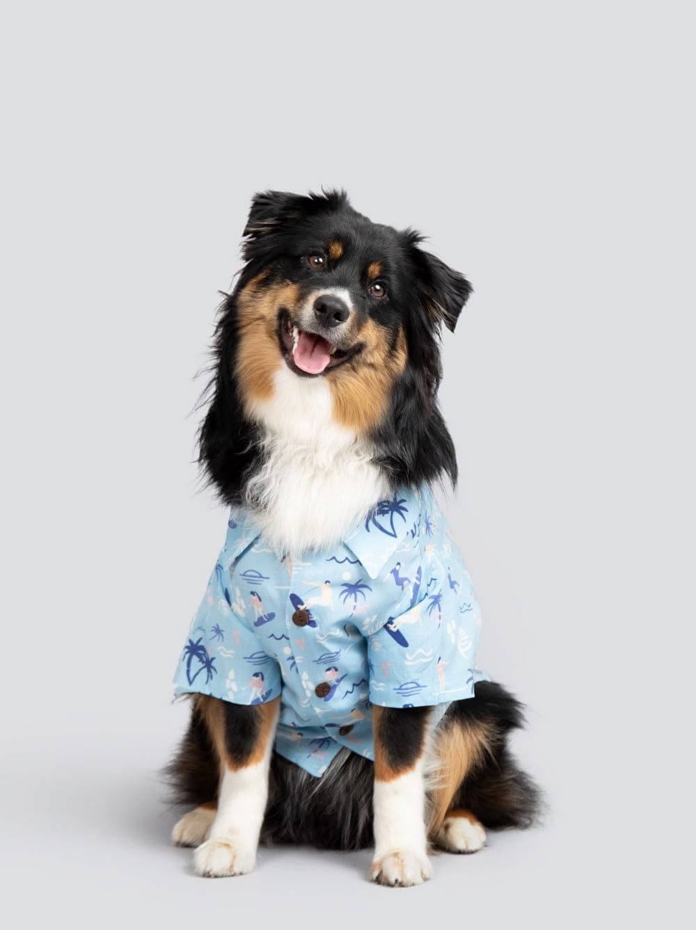 Pets Summer Cloths